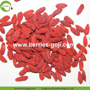 Menyediakan Buah Herbal Jenis A Grade Goji Berry