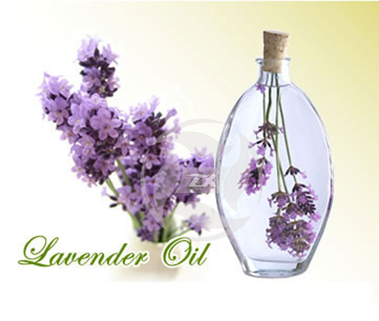 Aceite esencial francés de lavanda pura pura al por mayor