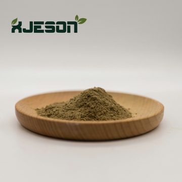 organic Flaxseed extract 20% Powder