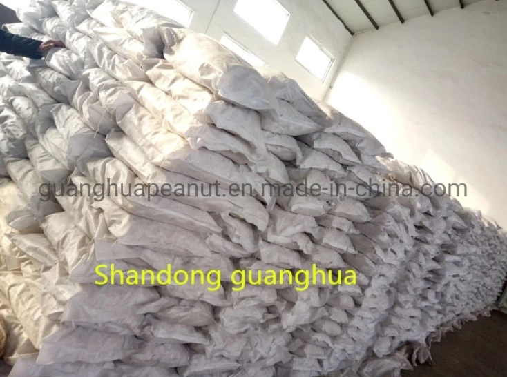 Good Quanlity European Standard Snow White Pumpkin Seeds