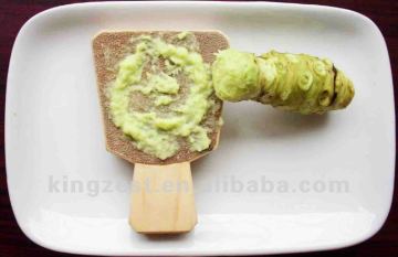 43g japanese horseradish paste WASABI condiment