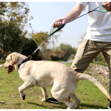 Due manici al guinzaglio del cane