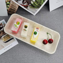 Disoposable Compostable Bagasse 10inch Vegetable Tray
