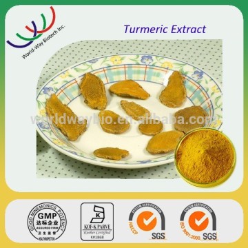 free sample curcumin,FDA HACCP KOSHER turmeric extract,water soluble curcumin