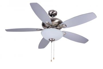 decoration Ceiling Fan with round glass lamp