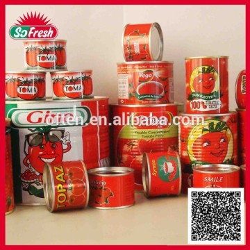 wholesale canned toamto paste with good taste