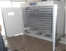 egg hatchery machine