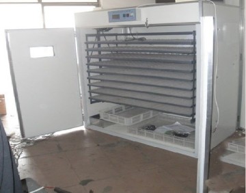 egg hatchery machine
