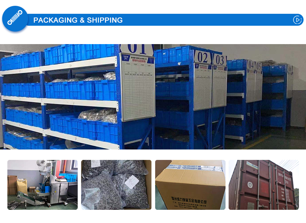 Factory Sale Various Mechanical Electrical Torsion Spring