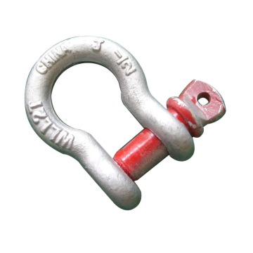 Forged D Shackle Galvanised