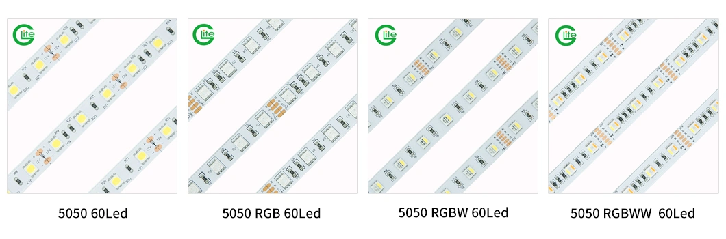 3years Warranty LED Light Strip SMD5050 Rgbww 60LED 6W Ra90 LED Strip DC24 LED Light