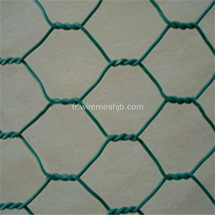 Treillis métallique hexagonal à coté de PVC pour la ferme