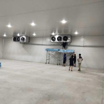 Energy Saving Cold Storage Room