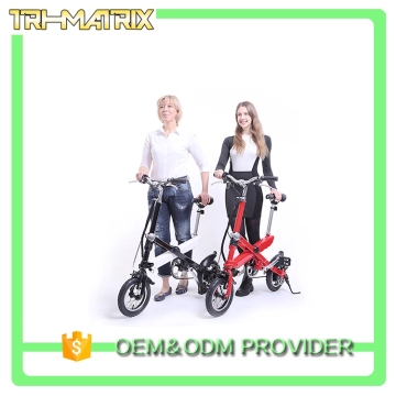 Super quality new products mountain sport electric bicycle