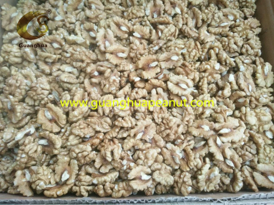 New Crop Walnut in Shell 2021 Good Quality 185