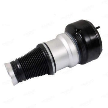 2213204913 Sospensione pneumatica anteriore Mercedes W221 Shock Air