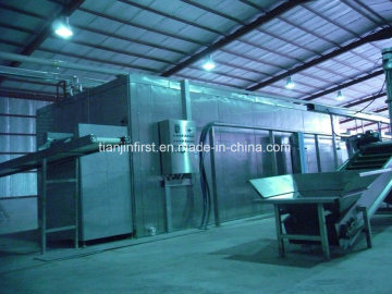 French Fries Production Line/Frozen French Fries Machinery/French Fries Machine