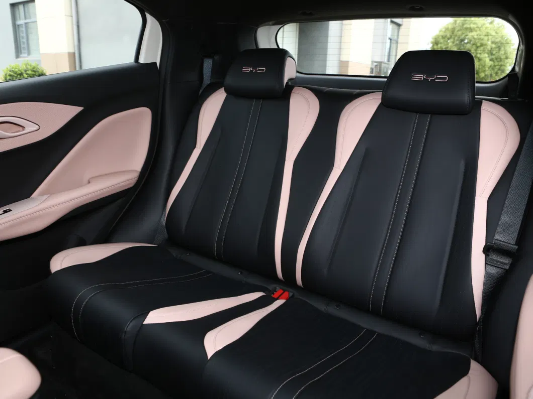 Low Price China New Model Byd Seagull EV Used Minicars New Energy Vehicles Car in Stock