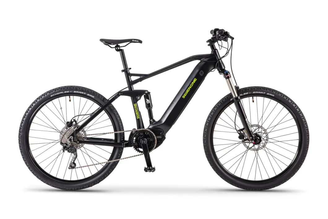 Full Suspension Middle Motor Electric Mountain Bicycle with