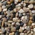 Natuurlijke goedkoop hete verkoop rivier pebble stone