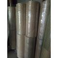 En acier inoxydable soudé Wire Mesh Rolls