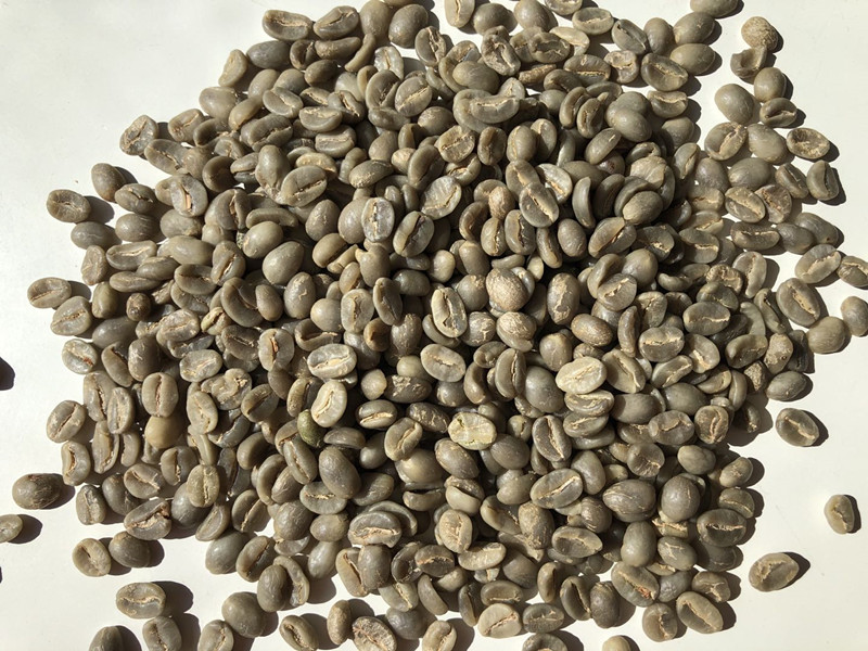 Graus de café verde Robusta Grau 1