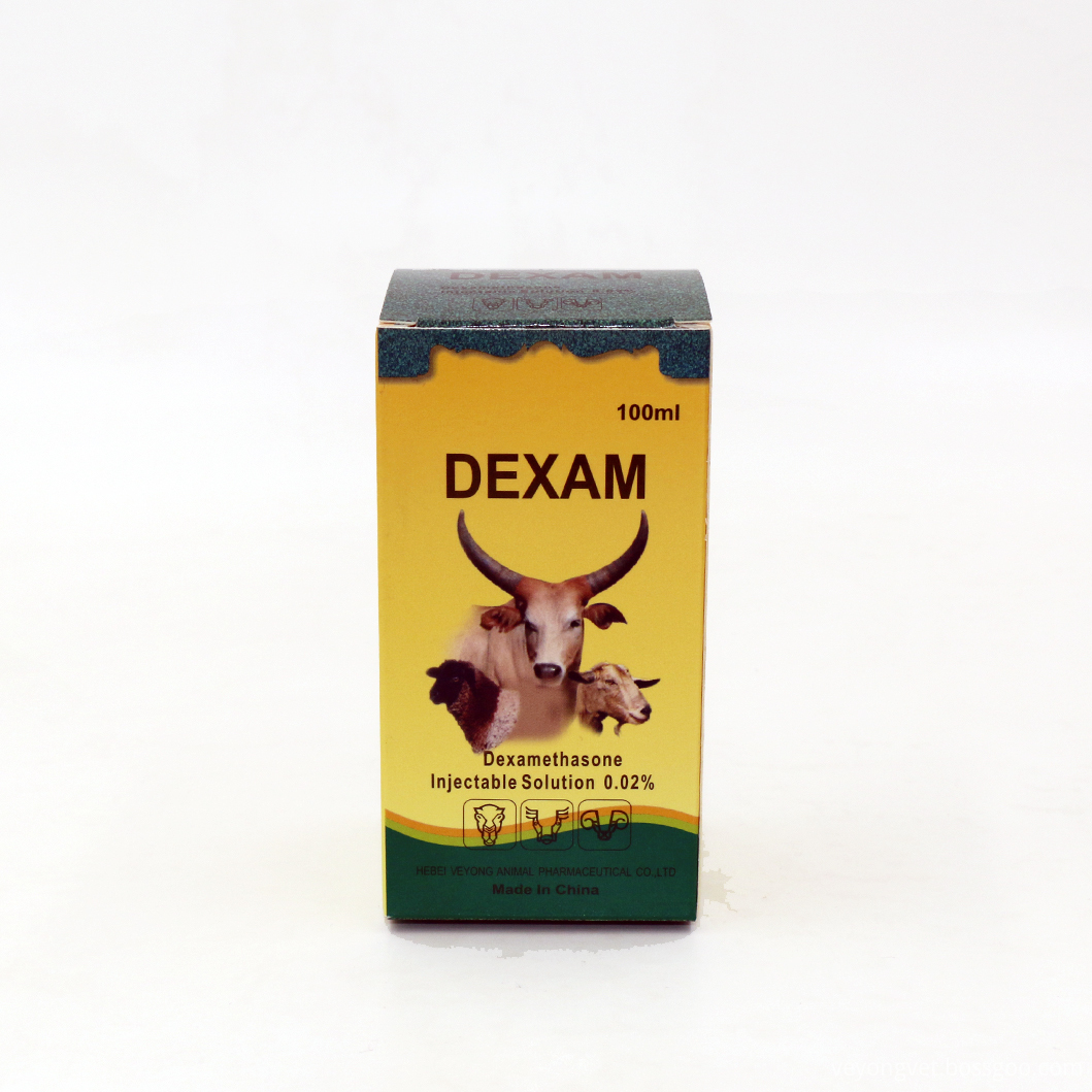 Dexamethasone Injection Veterinary Products for Poultry