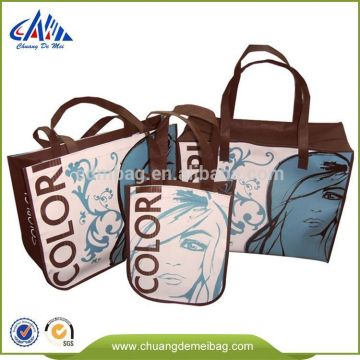 Rational Construction Pp Nonwoven Shopping Bag Products