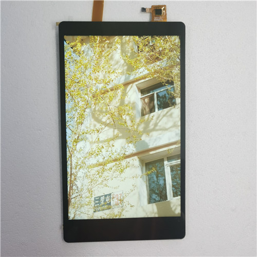 Display LCD TFT da 8,0 pollici