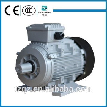 Top Quality YS Series Electric Motor