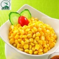 Lunch Corn Bags for Women