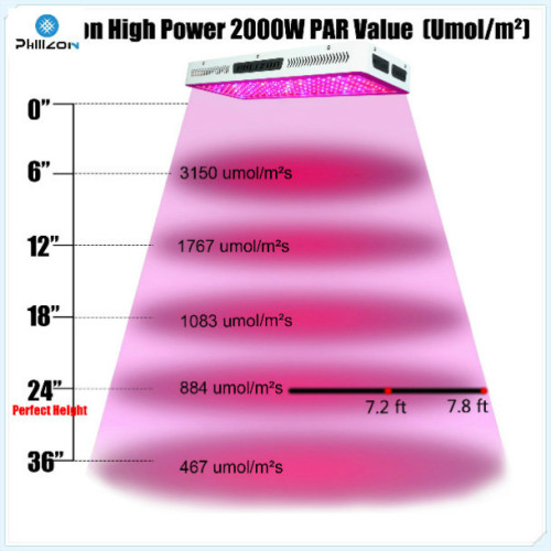 250W Zintegrowane oświetlenie LED do uprawy aquaponików