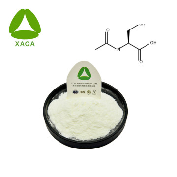 N-acétyl-L-Cysteine ​​Powder CAS no 616-91-1