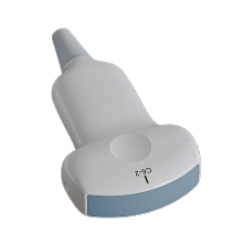 Ultrasound Convex Transducer Probe