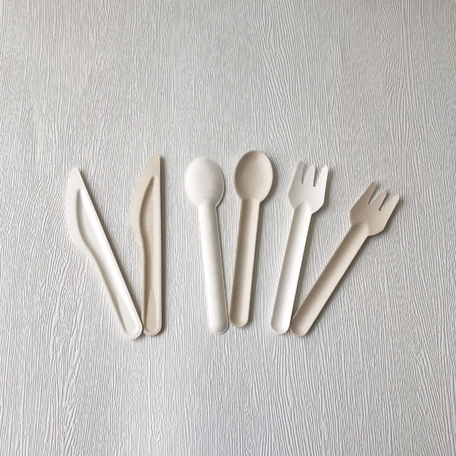 disposable fork cutlery sets