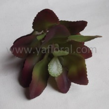 Real touch artificial succulent plant for hotel decoration