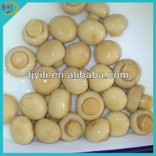 Canned whole button mushroom from factory directly