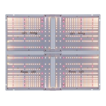 SF Series LED Grow Lights: Spider sf 4000, sf 2000, sf-1000, sf-2000, sf600 for Grow Tent Kit