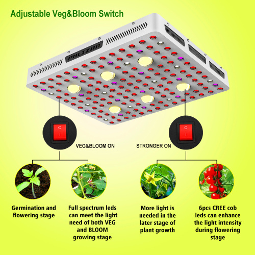 Luz de cultivo LED Phlizon Cree COB Series