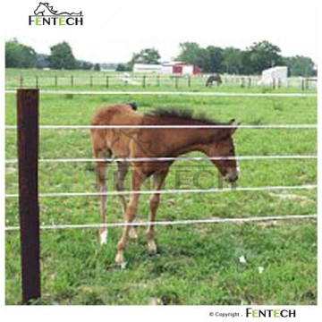 Fentech Electric Fencing for Cattle, Horse Fence