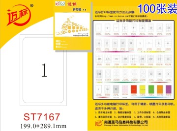 A4 Mailing Labels -St7167