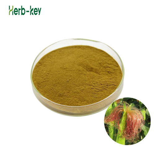 Corn Stigma Maydis extract powder