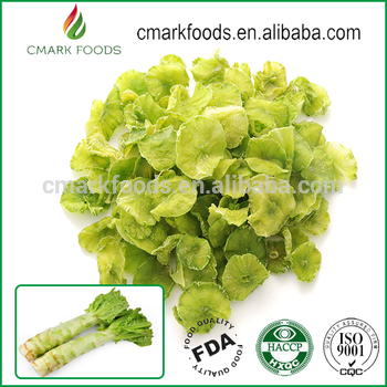 Hot selling fresh dried fresh planting names lettuce boxes