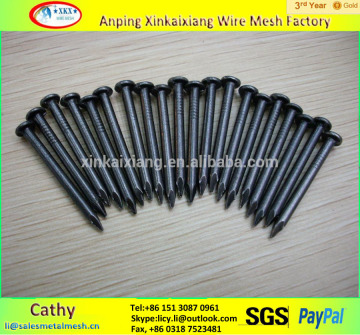 China Xinkaixiang factory black concrete nails/black nails/concrete nails best price