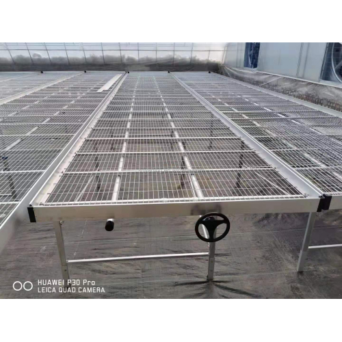 Agriculture Seed Bed for Vegetable Greenhouse