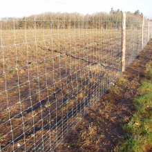 Heavy Galvanized Rural Farm Fencing