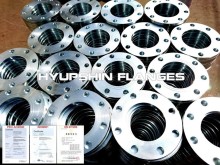 EN1092-1 TYPE01 PLFF PLRF Forged Flanges