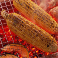 Ronde barbecue gegrilde gaas