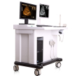 Mesin Ultrasound Trolley Digital Rumah Sakit dengan Workstation