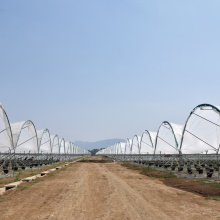 Low Haze & Low/medium Diffusion Anti-Aging greenhouse film